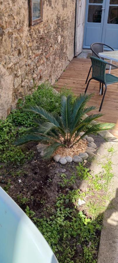 Le 9 De Cour, Chambre Caouette Carcassonne Dış mekan fotoğraf